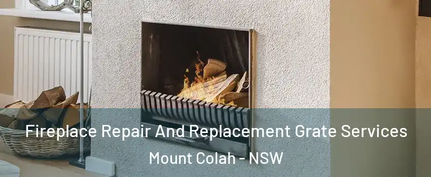 Fireplace Repair And Replacement Grate Services Mount Colah - NSW