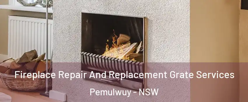 Fireplace Repair And Replacement Grate Services Pemulwuy - NSW