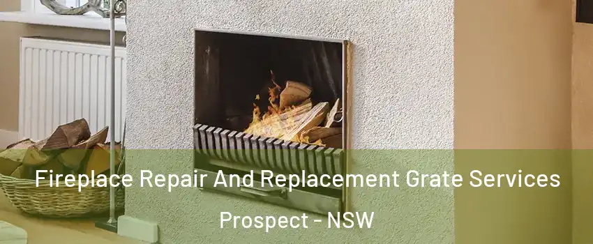 Fireplace Repair And Replacement Grate Services Prospect - NSW