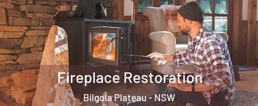 Fireplace Restoration Bilgola Plateau - NSW