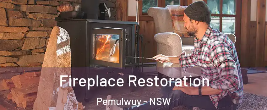 Fireplace Restoration Pemulwuy - NSW