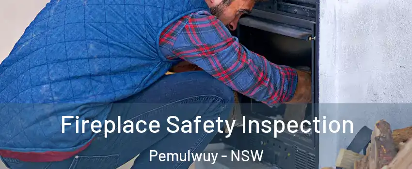 Fireplace Safety Inspection Pemulwuy - NSW