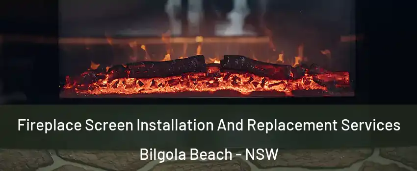 Fireplace Screen Installation And Replacement Services Bilgola Beach - NSW
