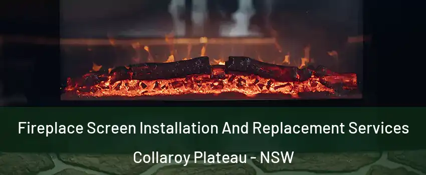 Fireplace Screen Installation And Replacement Services Collaroy Plateau - NSW