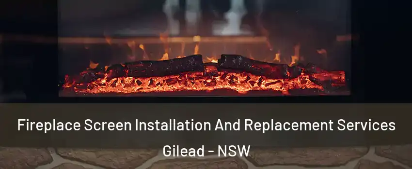 Fireplace Screen Installation And Replacement Services Gilead - NSW