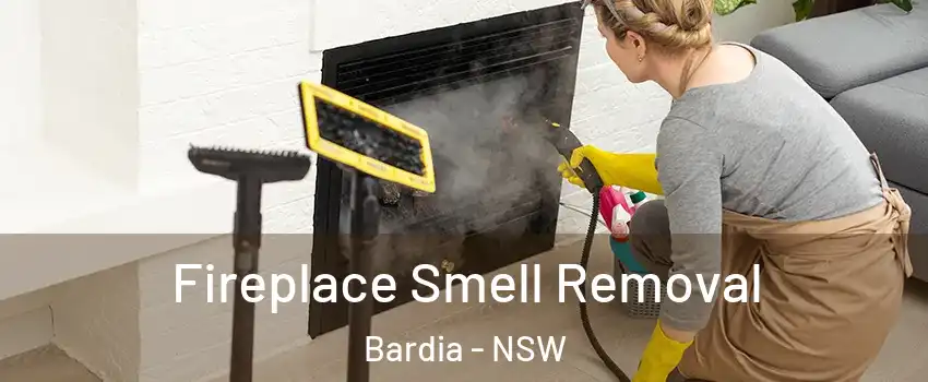Fireplace Smell Removal Bardia - NSW
