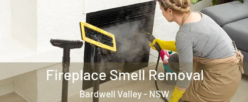 Fireplace Smell Removal Bardwell Valley - NSW