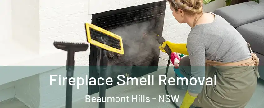 Fireplace Smell Removal Beaumont Hills - NSW