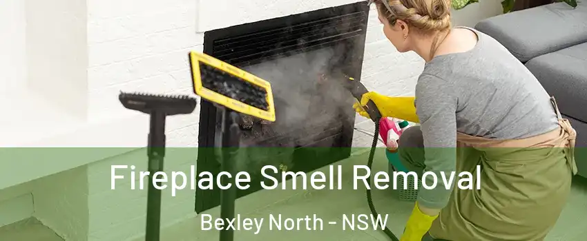 Fireplace Smell Removal Bexley North - NSW