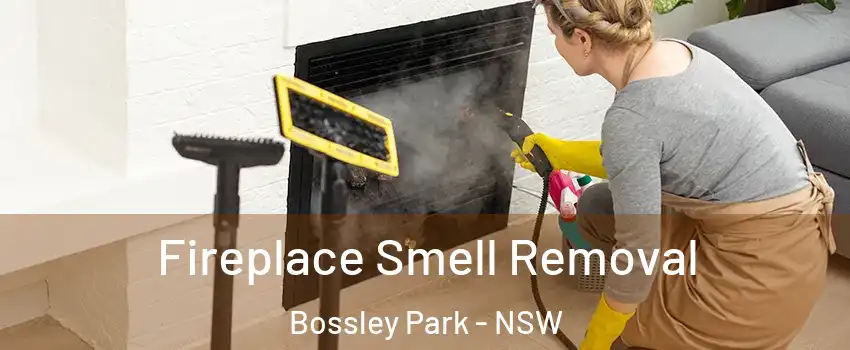 Fireplace Smell Removal Bossley Park - NSW