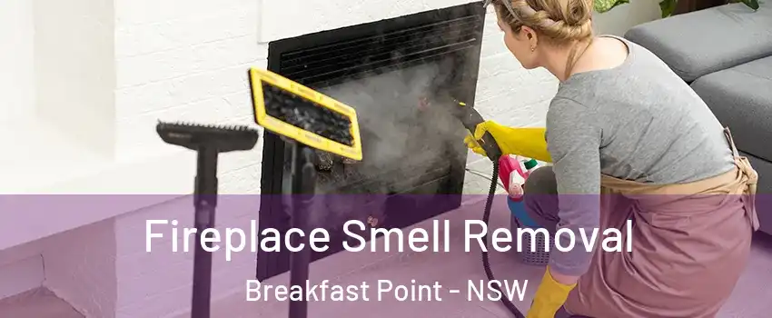  Fireplace Smell Removal Breakfast Point - NSW