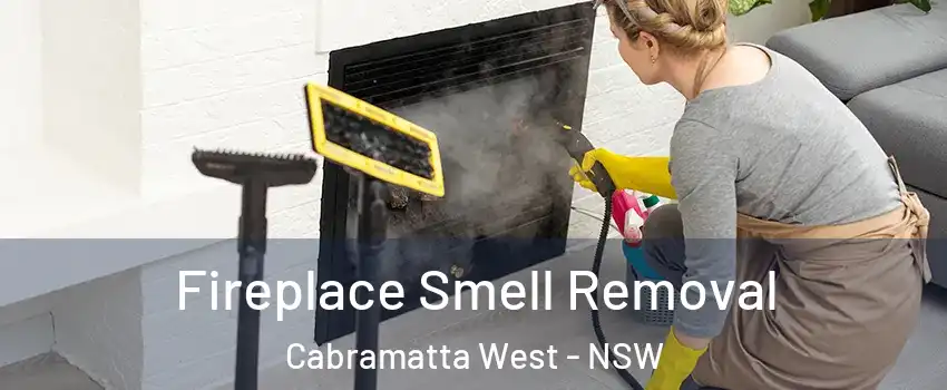  Fireplace Smell Removal Cabramatta West - NSW