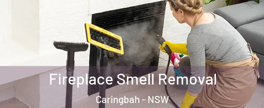 Fireplace Smell Removal Caringbah - NSW