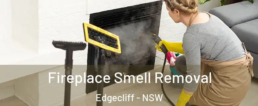 Fireplace Smell Removal Edgecliff - NSW