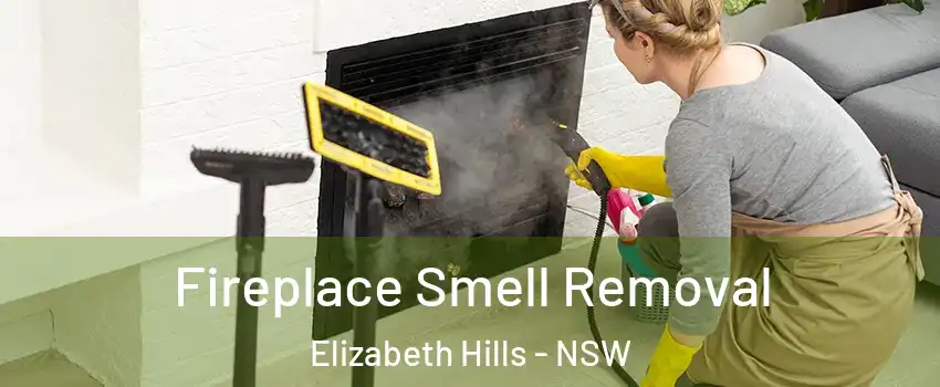 Fireplace Smell Removal Elizabeth Hills - NSW