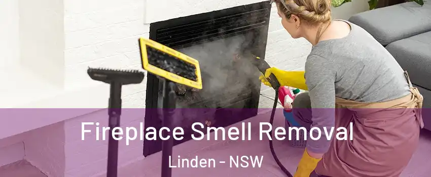 Fireplace Smell Removal Linden - NSW
