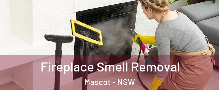Fireplace Smell Removal Mascot - NSW