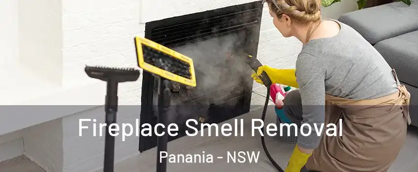 Fireplace Smell Removal Panania - NSW