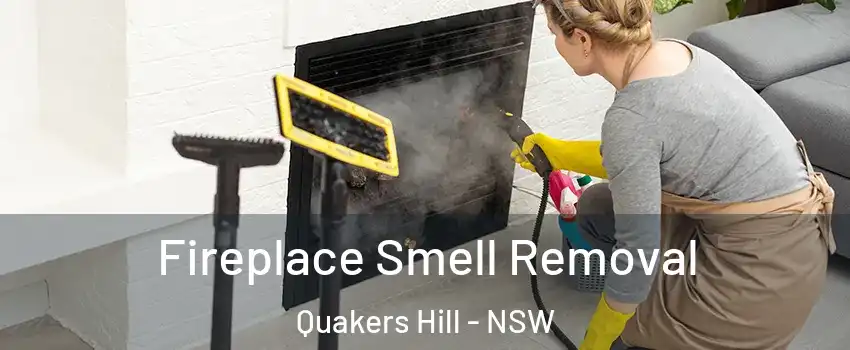 Fireplace Smell Removal Quakers Hill - NSW