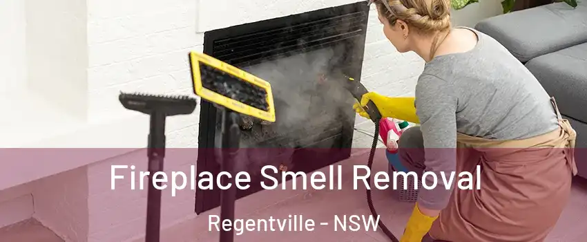 Fireplace Smell Removal Regentville - NSW