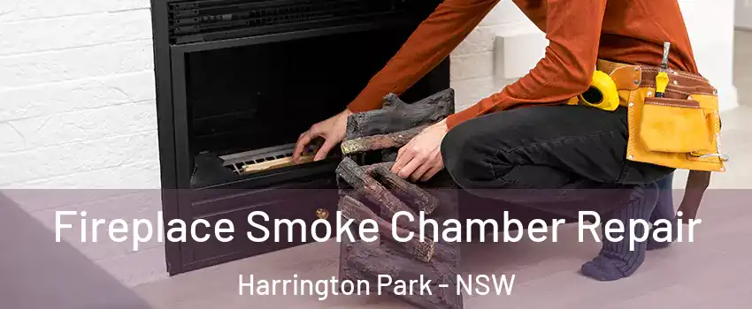 Fireplace Smoke Chamber Repair Harrington Park - NSW