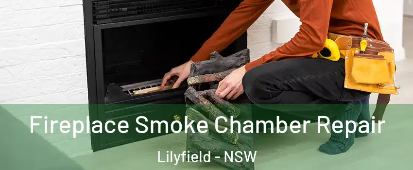 Fireplace Smoke Chamber Repair Lilyfield - NSW