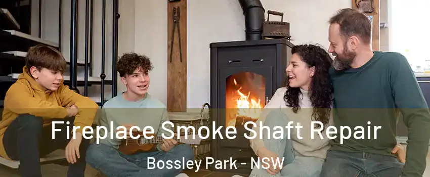 Fireplace Smoke Shaft Repair Bossley Park - NSW