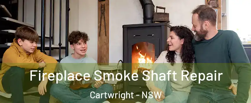 Fireplace Smoke Shaft Repair Cartwright - NSW
