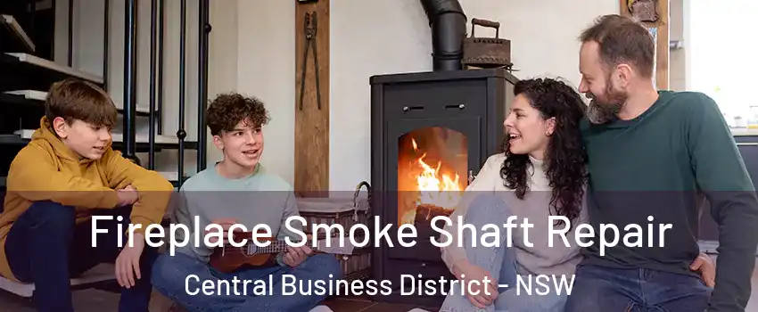  Fireplace Smoke Shaft Repair Central Business District - NSW