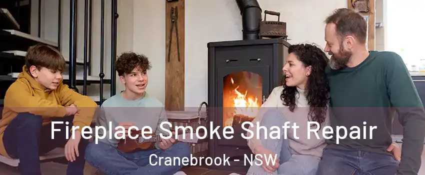Fireplace Smoke Shaft Repair Cranebrook - NSW