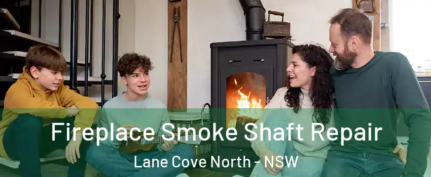 Fireplace Smoke Shaft Repair Lane Cove North - NSW