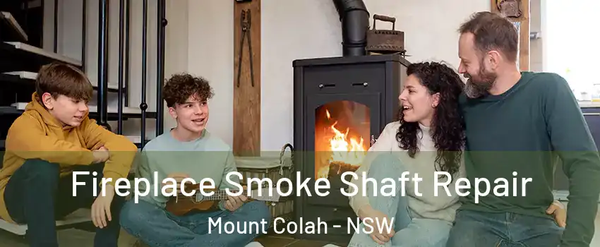Fireplace Smoke Shaft Repair Mount Colah - NSW