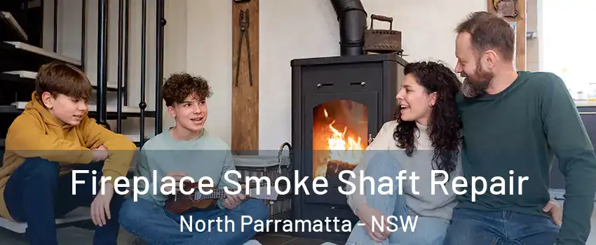 Fireplace Smoke Shaft Repair North Parramatta - NSW