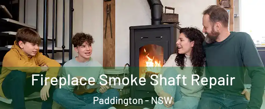  Fireplace Smoke Shaft Repair Paddington - NSW