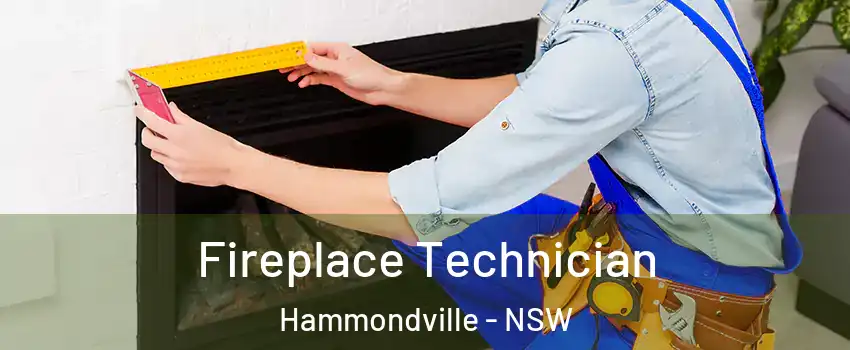 Fireplace Technician Hammondville - NSW