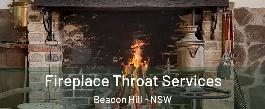  Fireplace Throat Services Beacon Hill - NSW