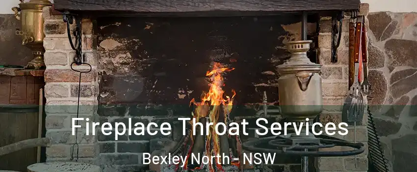 Fireplace Throat Services Bexley North - NSW