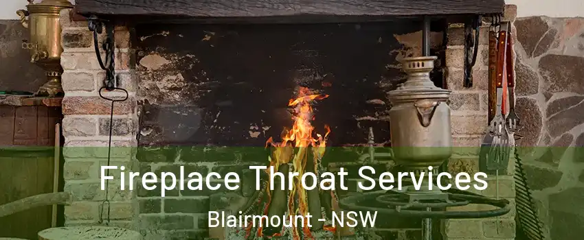 Fireplace Throat Services Blairmount - NSW