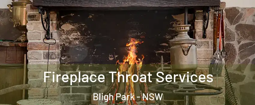 Fireplace Throat Services Bligh Park - NSW