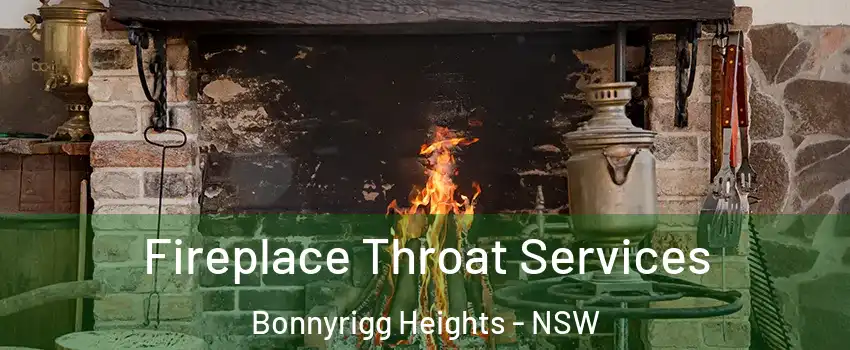 Fireplace Throat Services Bonnyrigg Heights - NSW