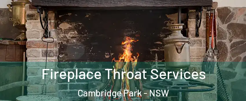 Fireplace Throat Services Cambridge Park - NSW