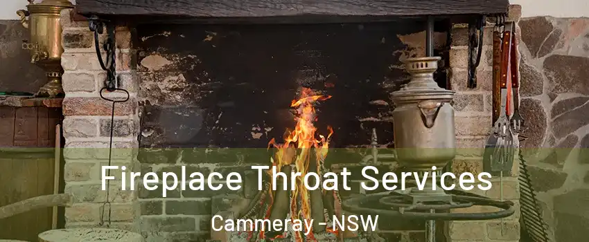 Fireplace Throat Services Cammeray - NSW