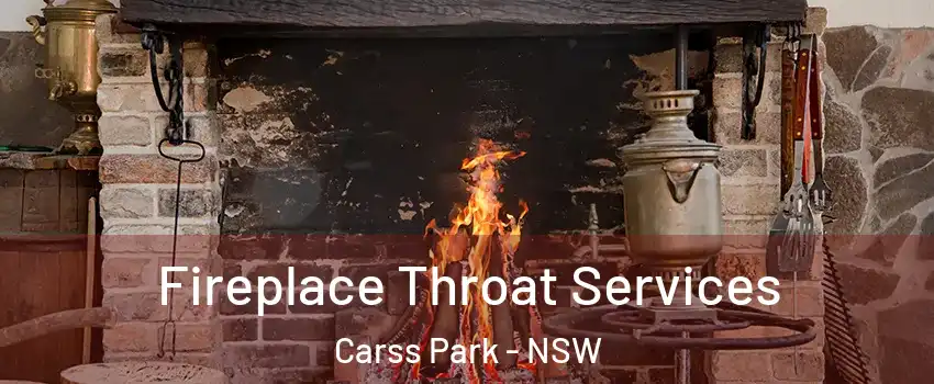 Fireplace Throat Services Carss Park - NSW