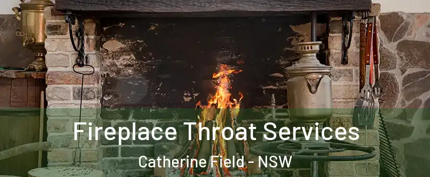 Fireplace Throat Services Catherine Field - NSW