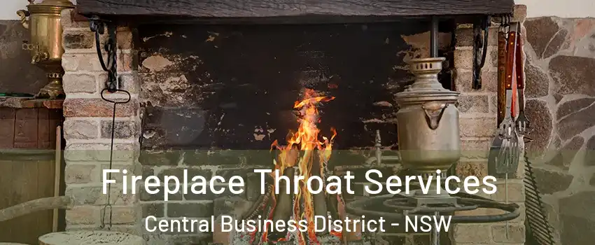 Fireplace Throat Services Central Business District - NSW