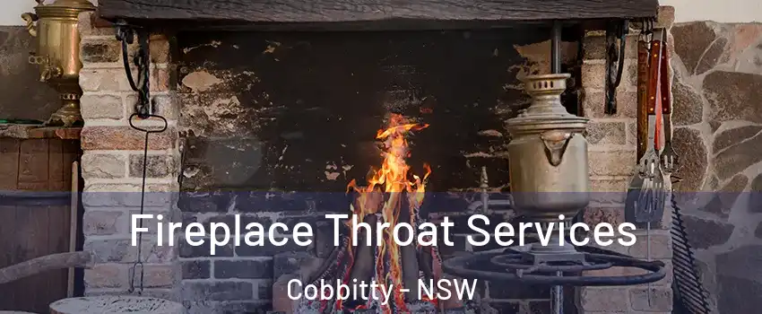 Fireplace Throat Services Cobbitty - NSW