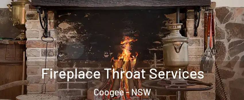 Fireplace Throat Services Coogee - NSW