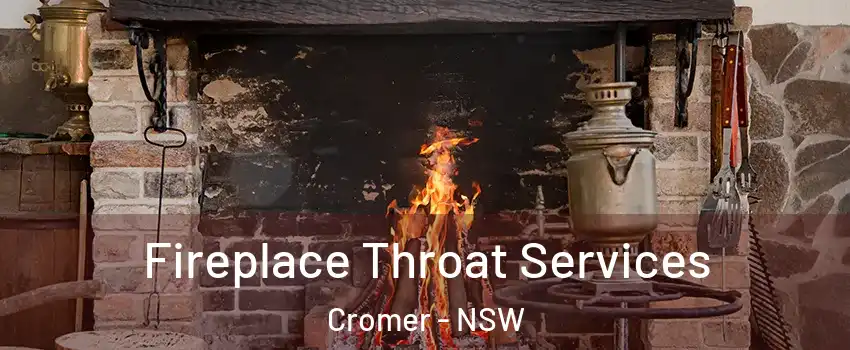 Fireplace Throat Services Cromer - NSW