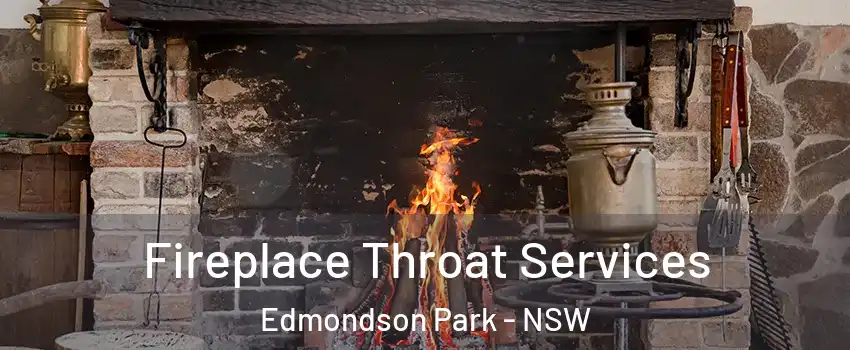 Fireplace Throat Services Edmondson Park - NSW