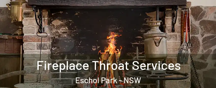Fireplace Throat Services Eschol Park - NSW